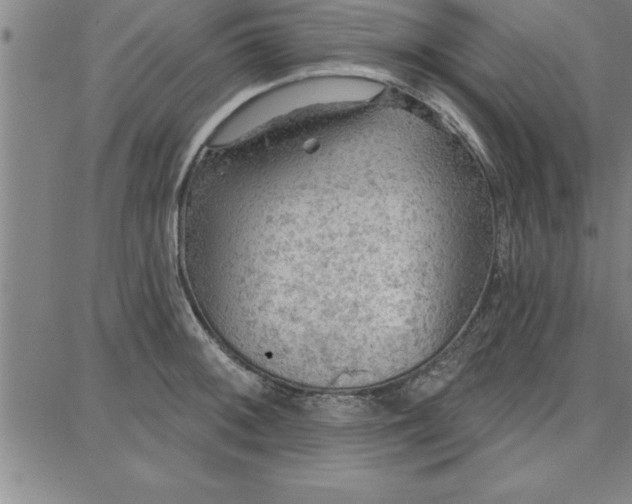 X0000087741092200705211006