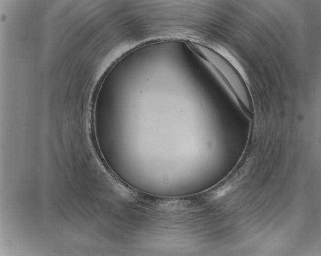 X0000087741093200705211006