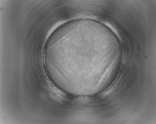 X0000087741094200705211006