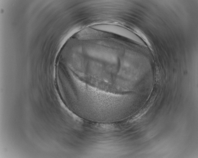 X0000087741095200705211006