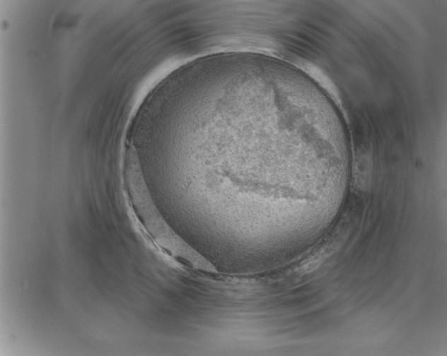 X0000087741096200705211006