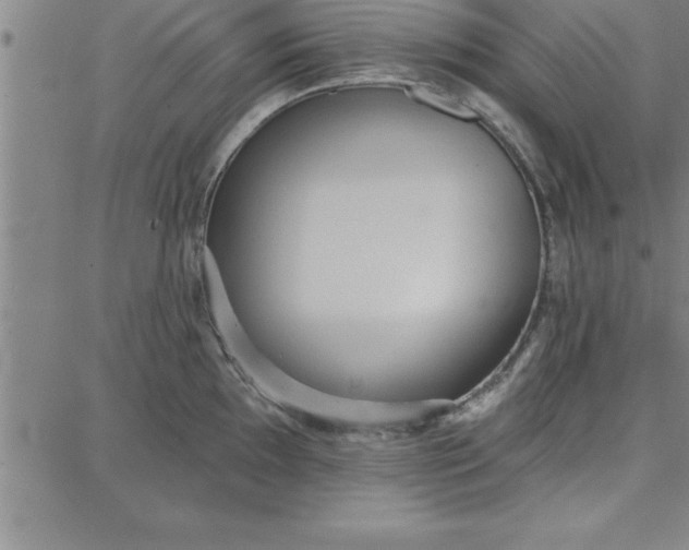 X0000087741097200705211006