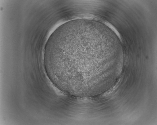 X0000087741099200705211006