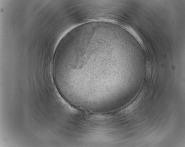 X0000087741100200705211006