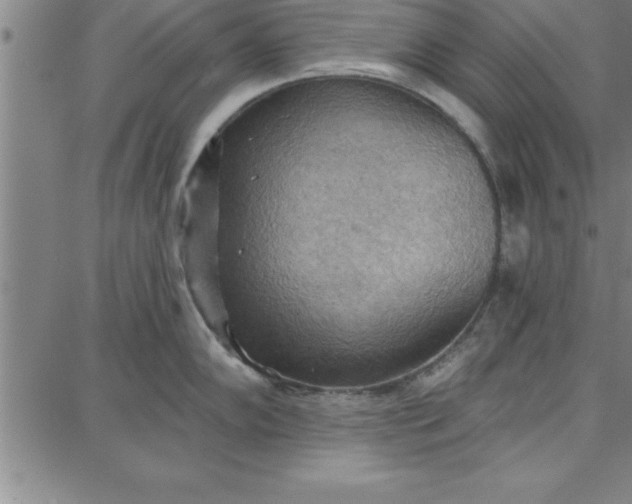 X0000087741102200705211006