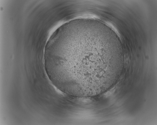 X0000087741103200705211006