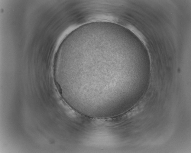 X0000087741104200705211006