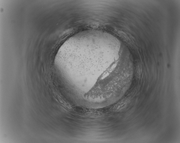 X0000087741105200705211005