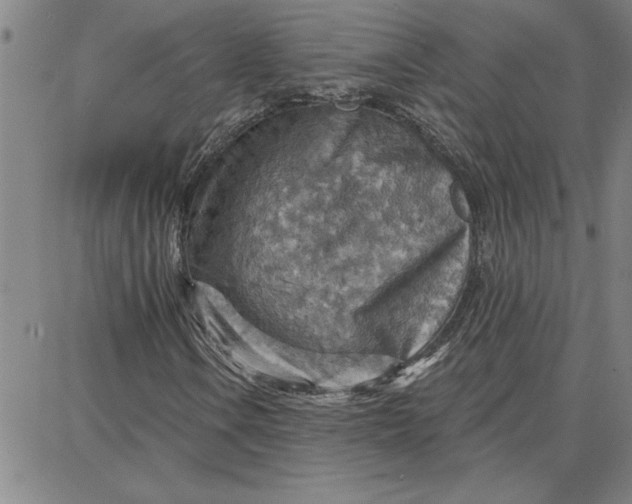 X0000087741106200705211005