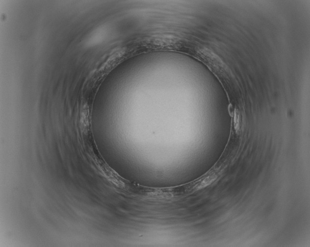 X0000087741107200705211005