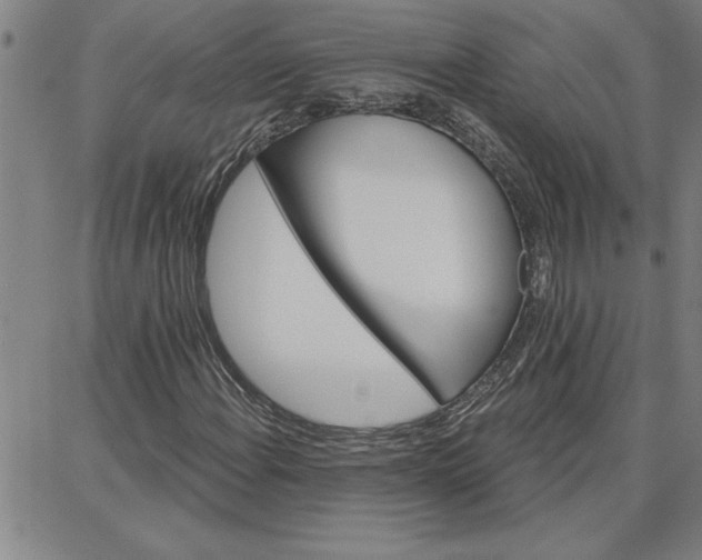 X0000087741108200705211005