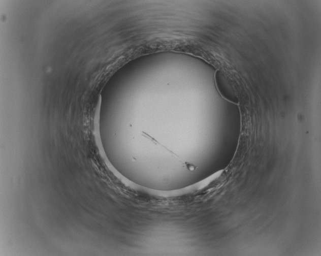 X0000087741109200705211005