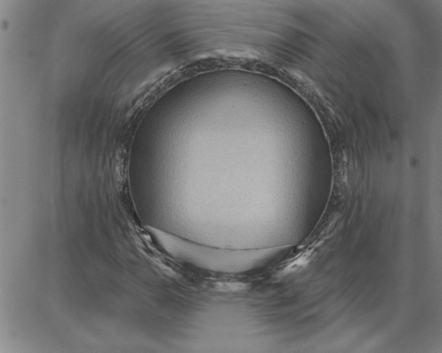 X0000087741110200705211005