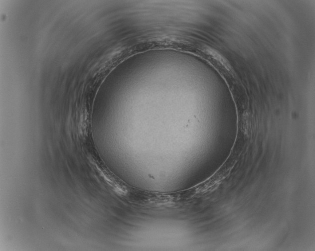 X0000087741111200705211005