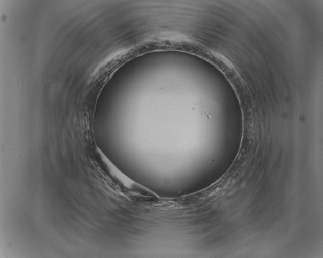 X0000087741112200705211005