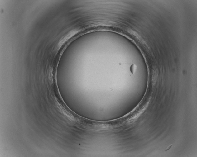 X0000087741113200705211005