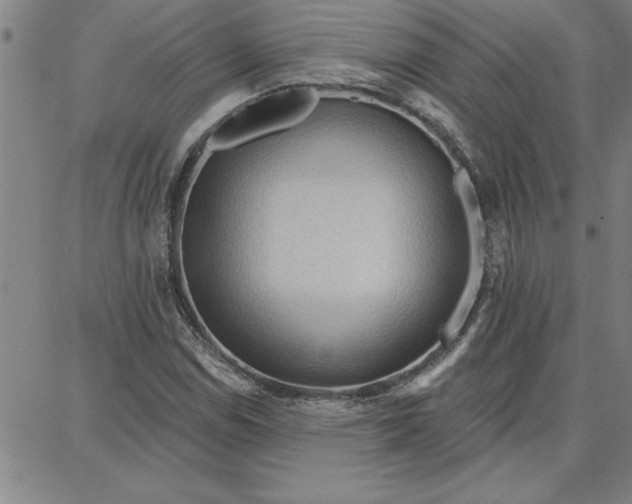 X0000087741114200705211005