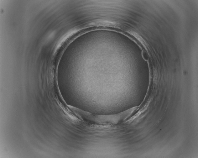 X0000087741115200705211005