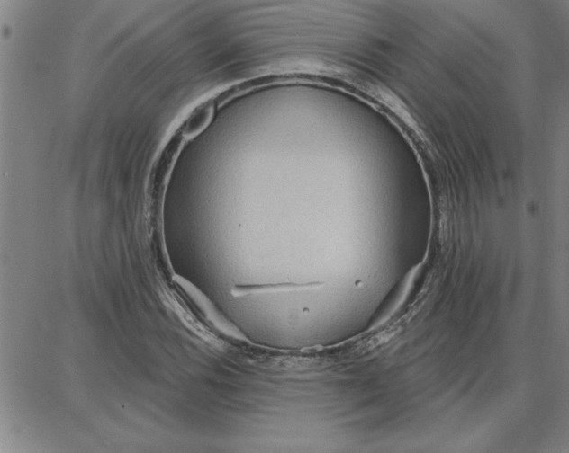 X0000087741116200705211005