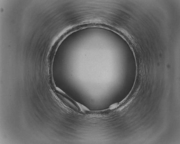 X0000087741118200705211005