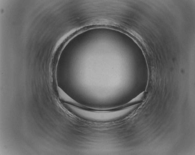 X0000087741120200705211005