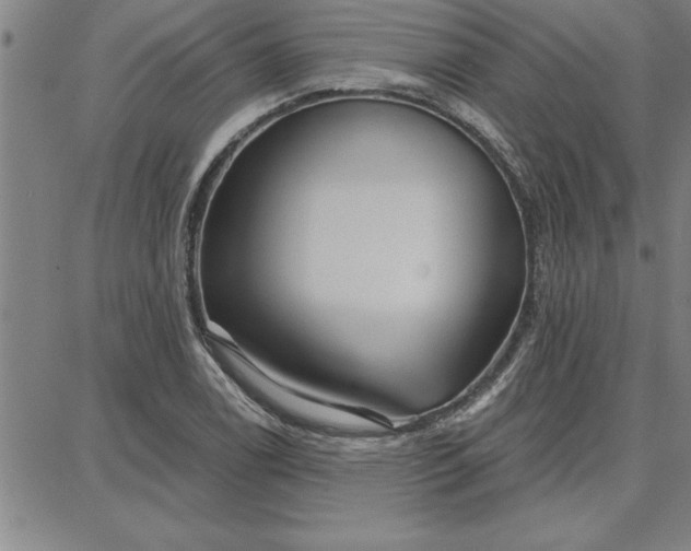 X0000087741122200705211005