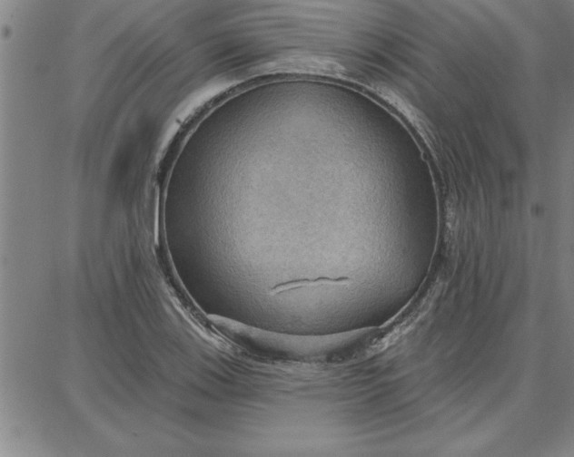 X0000087741123200705211005