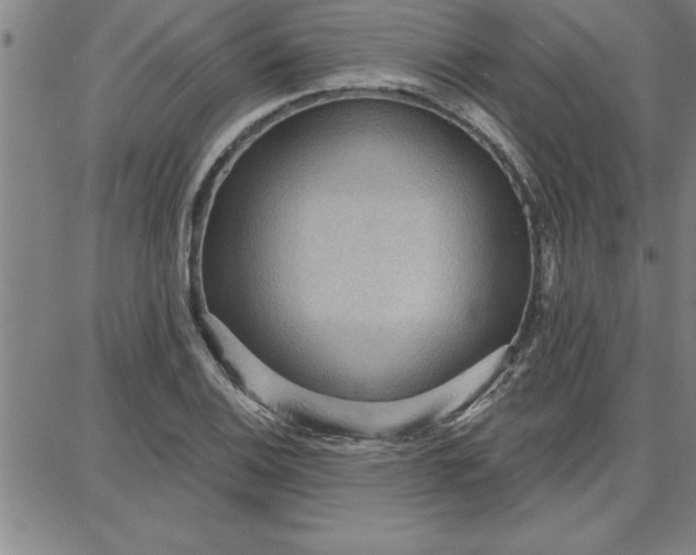 X0000087741124200705211005