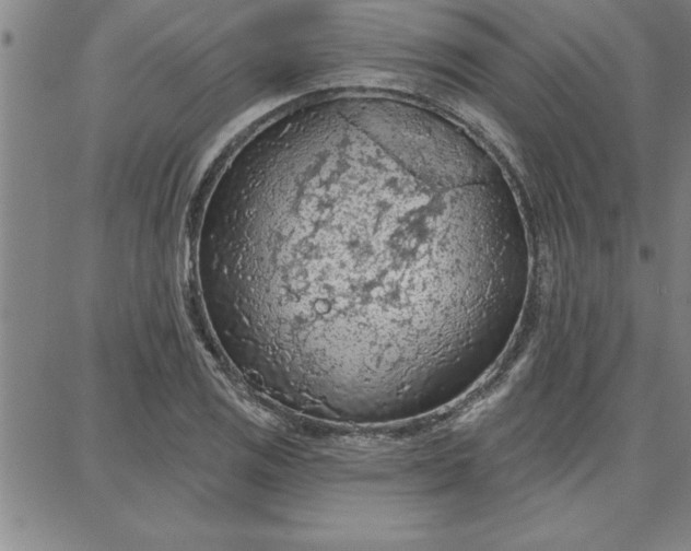 X0000087741125200705211005