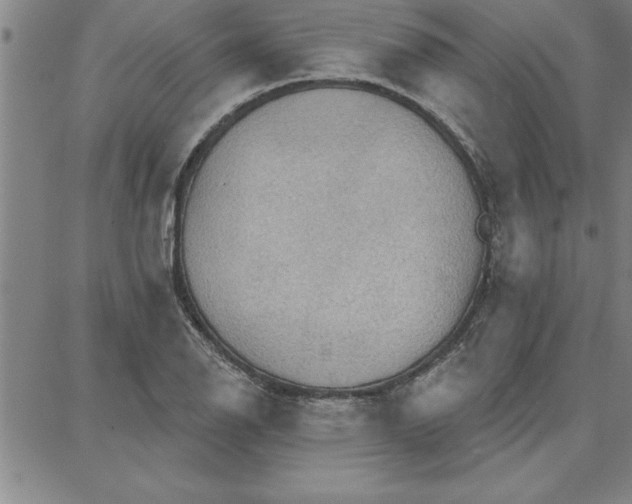 X0000087741126200705211005