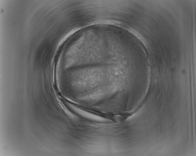 X0000087741127200705211005