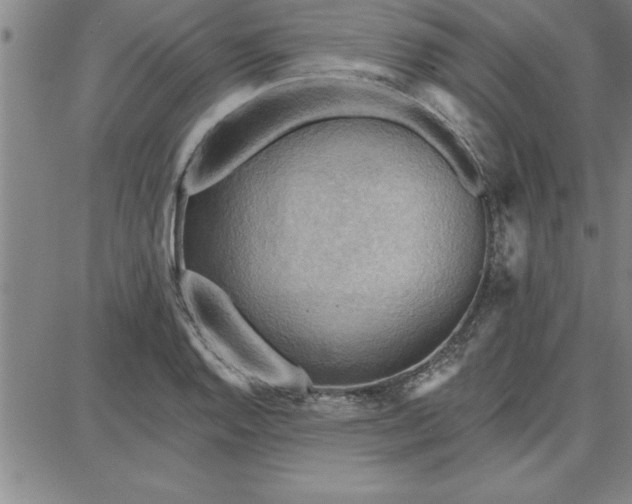 X0000087741128200705211006