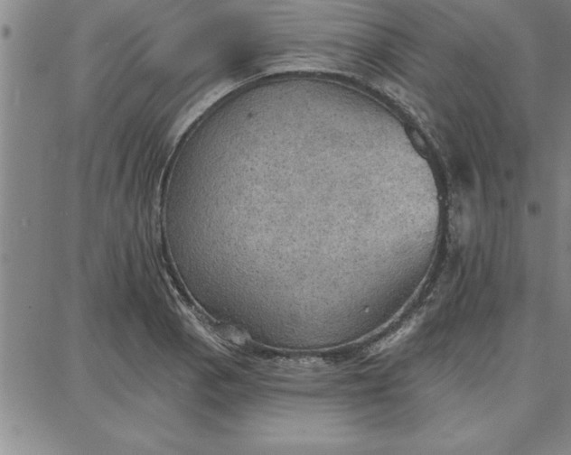 X0000087741129200705211006