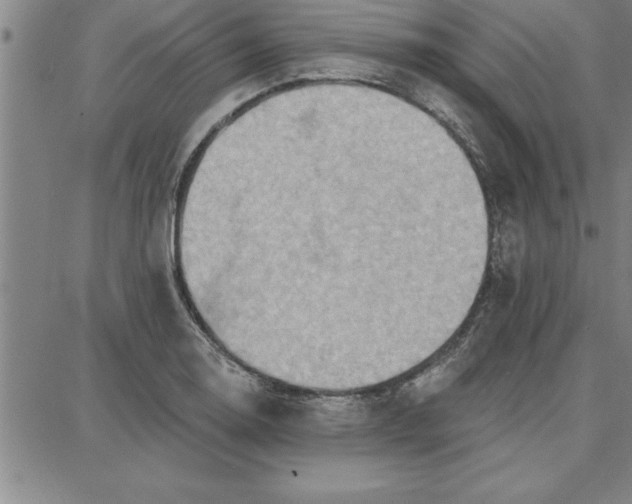 X0000087741130200705211006