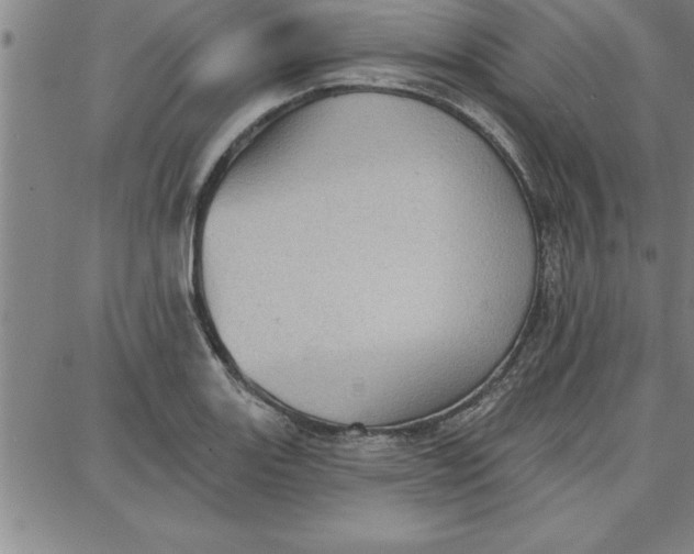 X0000087741131200705211006