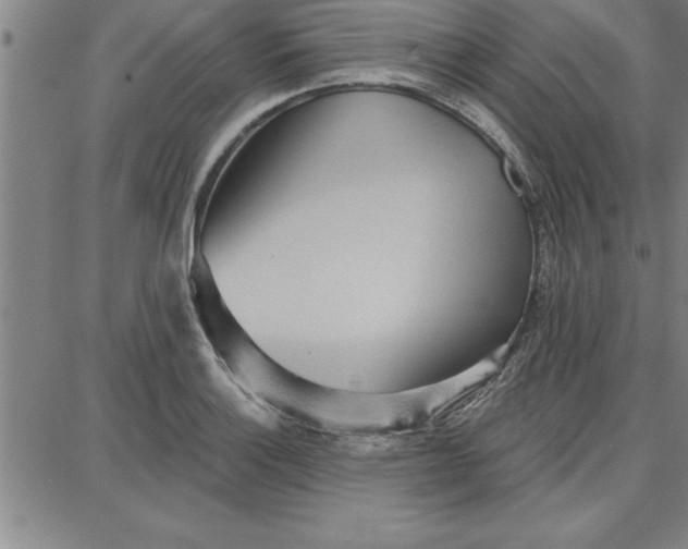 X0000087741132200705211006