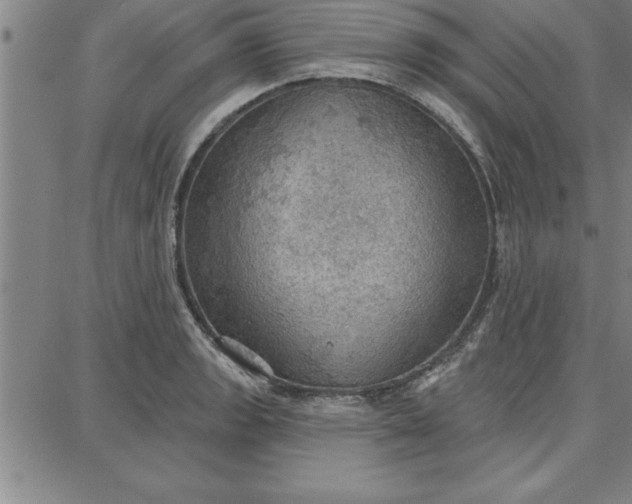 X0000087741133200705211006