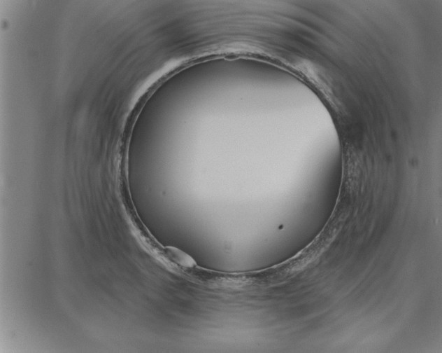 X0000087741134200705211006