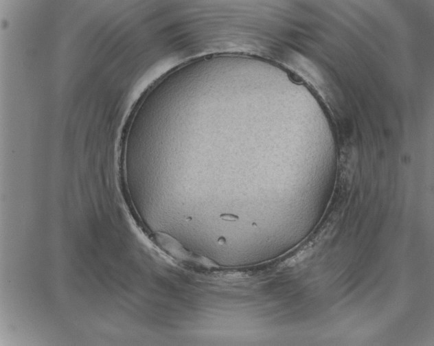 X0000087741135200705211006