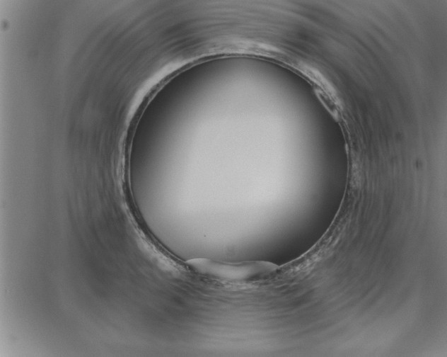 X0000087741136200705211006