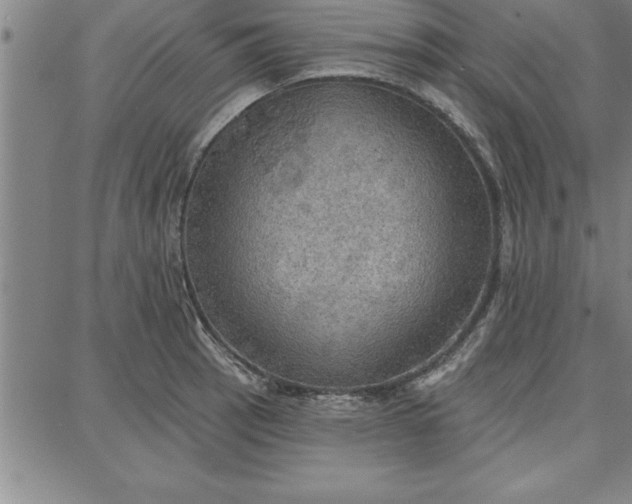 X0000087741137200705211006