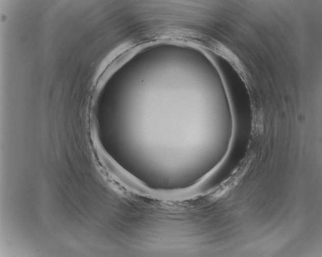 X0000087741138200705211006