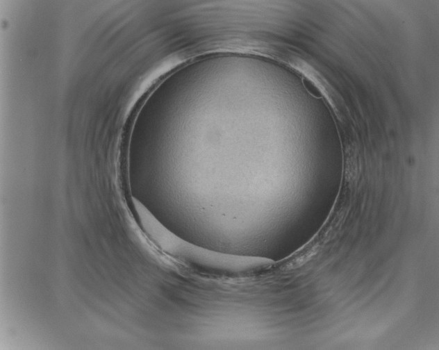 X0000087741139200705211006