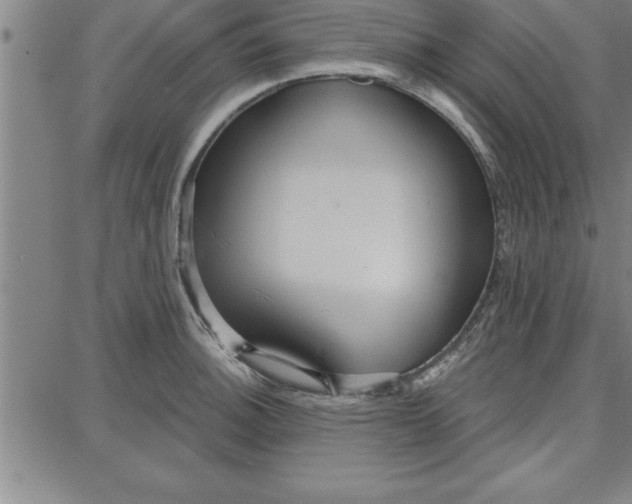 X0000087741140200705211006