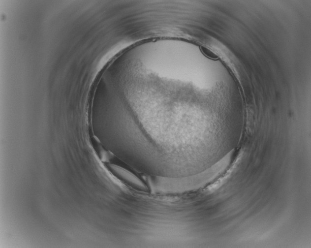 X0000087741141200705211006