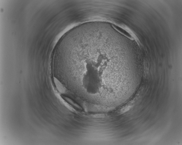 X0000087741142200705211006