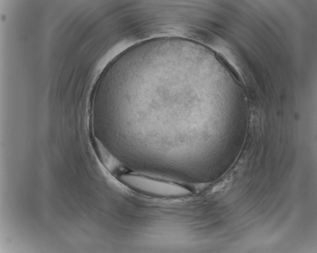 X0000087741143200705211006