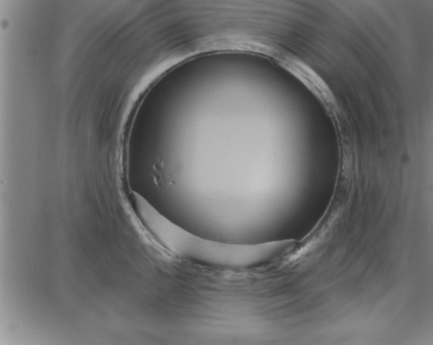 X0000087741144200705211006