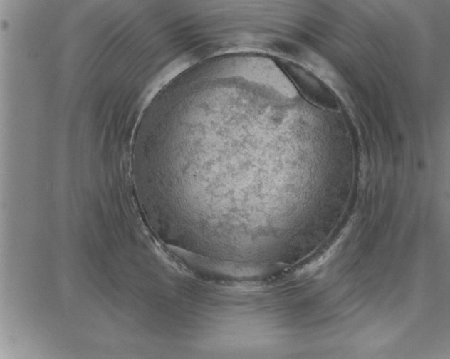 X0000087741145200705211006