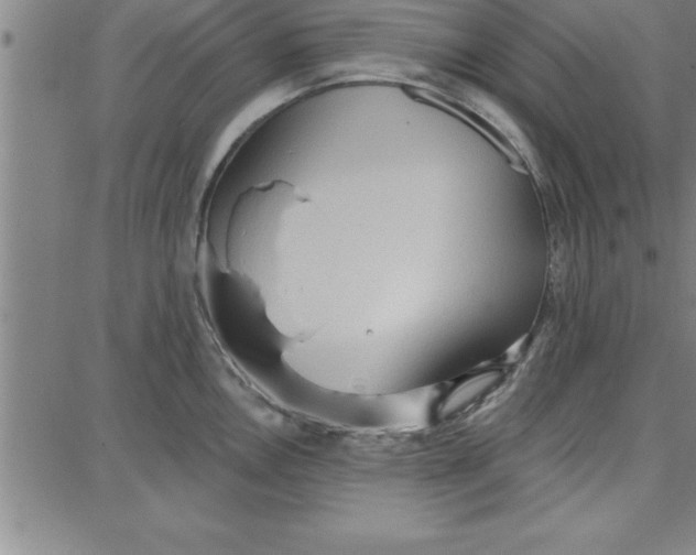 X0000087741146200705211006